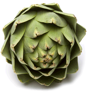 [Image: artichoke.gif]