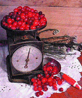 Cranberries on Scale