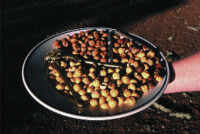 Hazelnut Platter