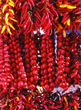 Hungarian peppers