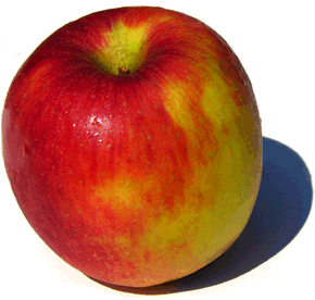 An apple